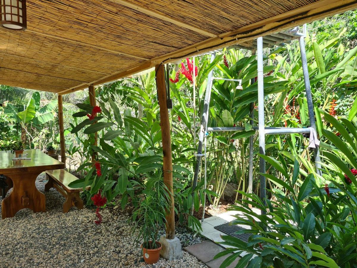 Playa Santa Teresa  Trebolmar Apartments For Remote Work מראה חיצוני תמונה